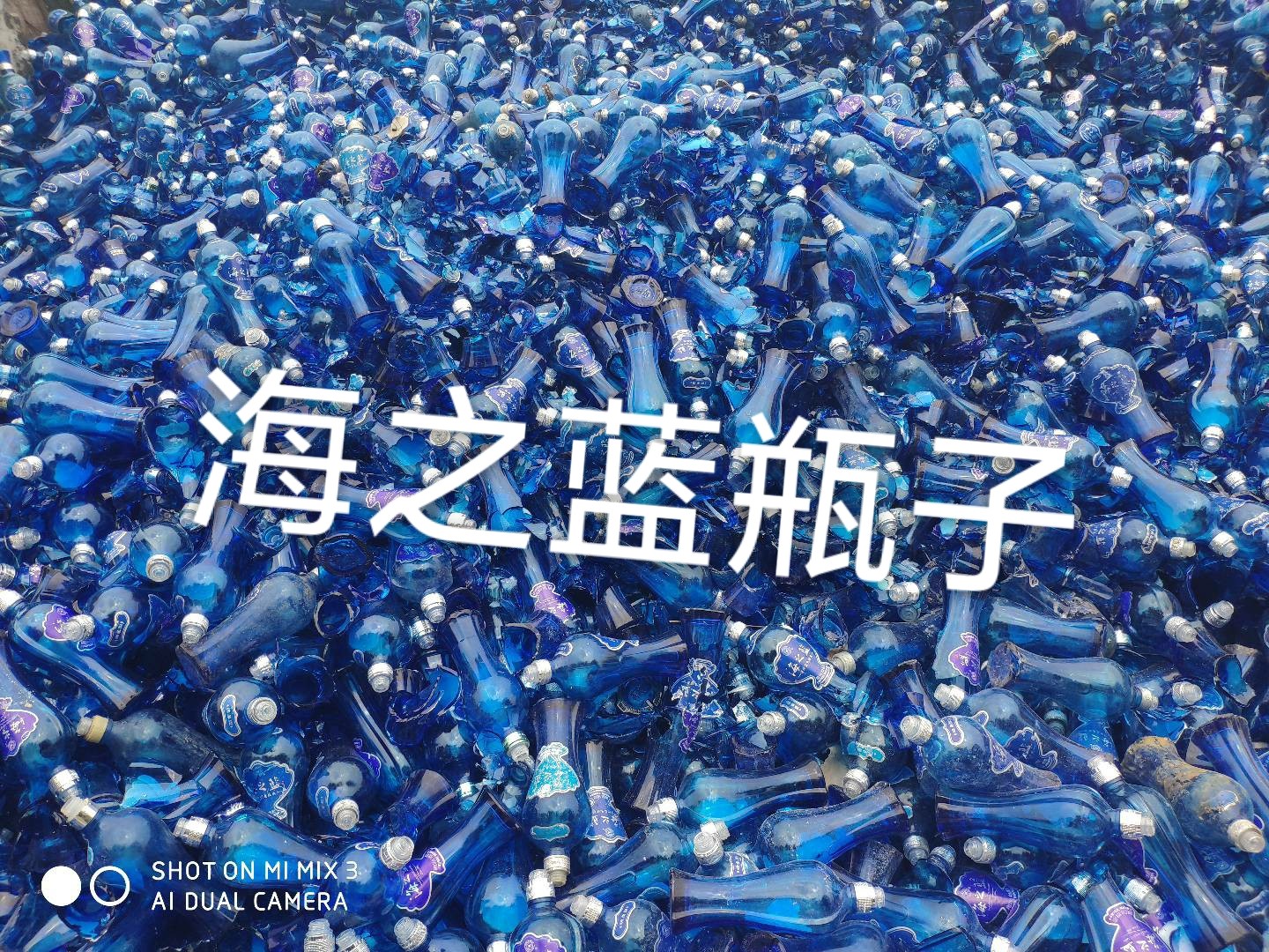 泰州海之蓝瓶回收