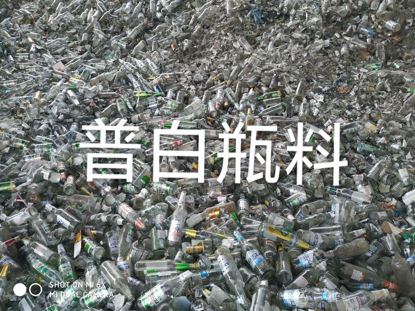 泰州普白瓶料回收